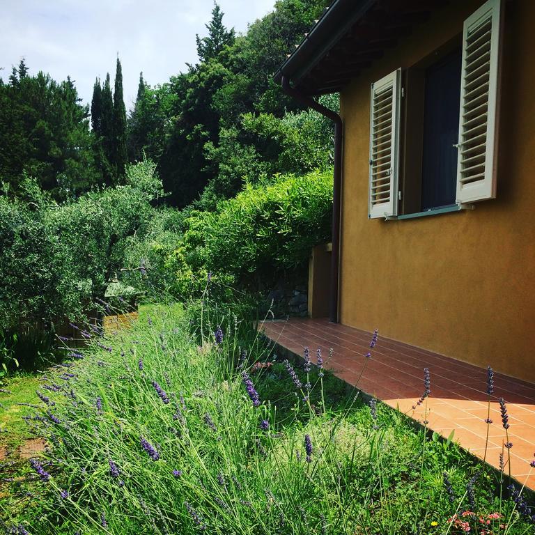 La Locanda Del Barbagianni Santa Luce Eksteriør billede