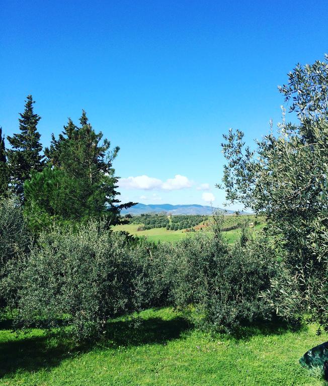 La Locanda Del Barbagianni Santa Luce Eksteriør billede